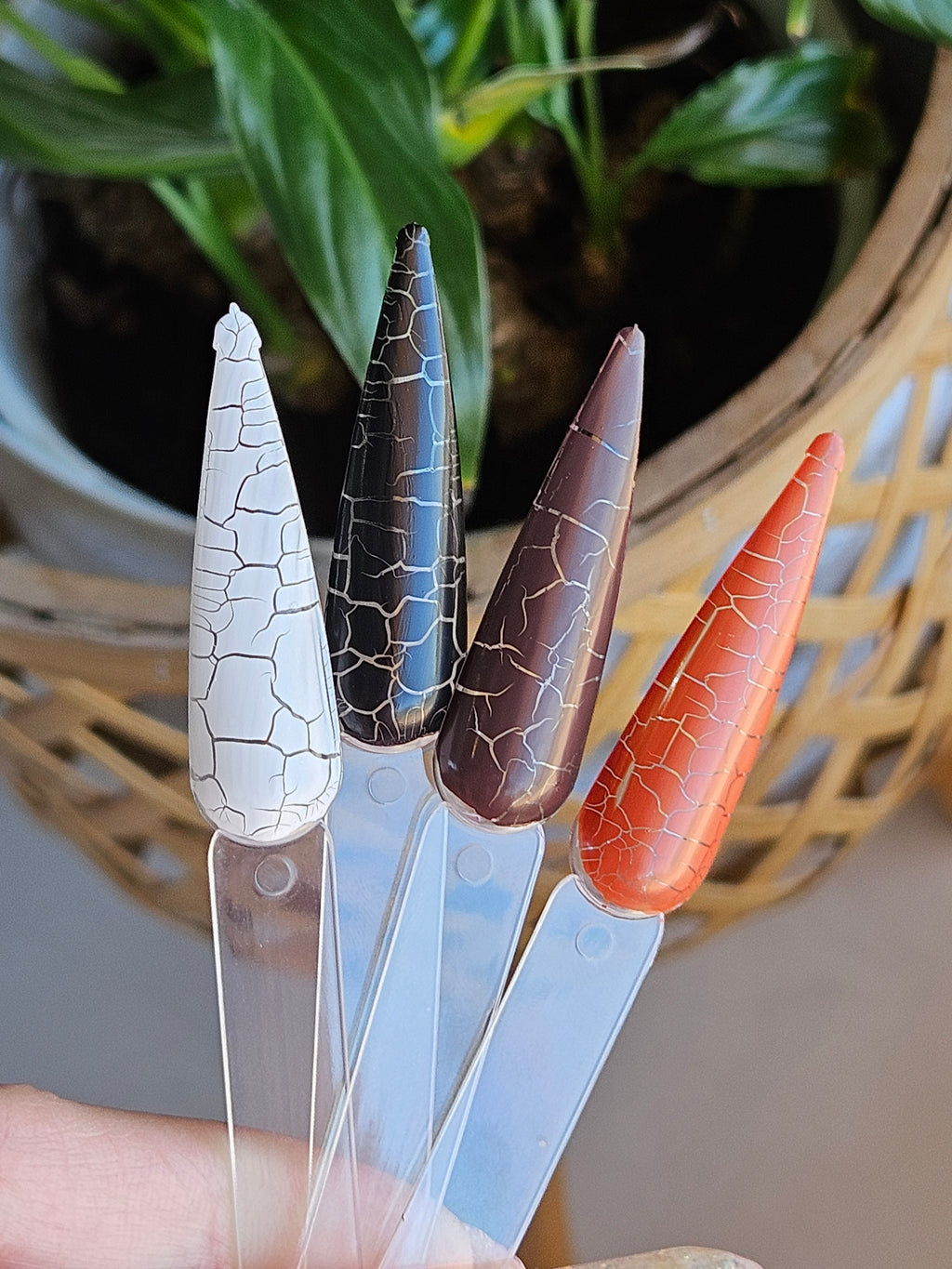 Crackle Gel | FULL COLLECTION